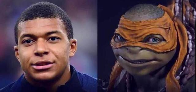 还没崇明岛大！库拉索首进世界杯正赛，成历史面积最小参赛足协（比崇明岛还小！库拉索首次跻身世界杯正赛，成史上面积最小参赛足协）